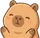 Focus Pet
