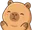 Focus Pet
